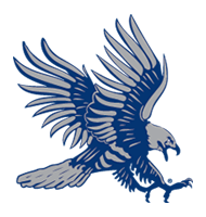 Dickinson State University Volleyball 